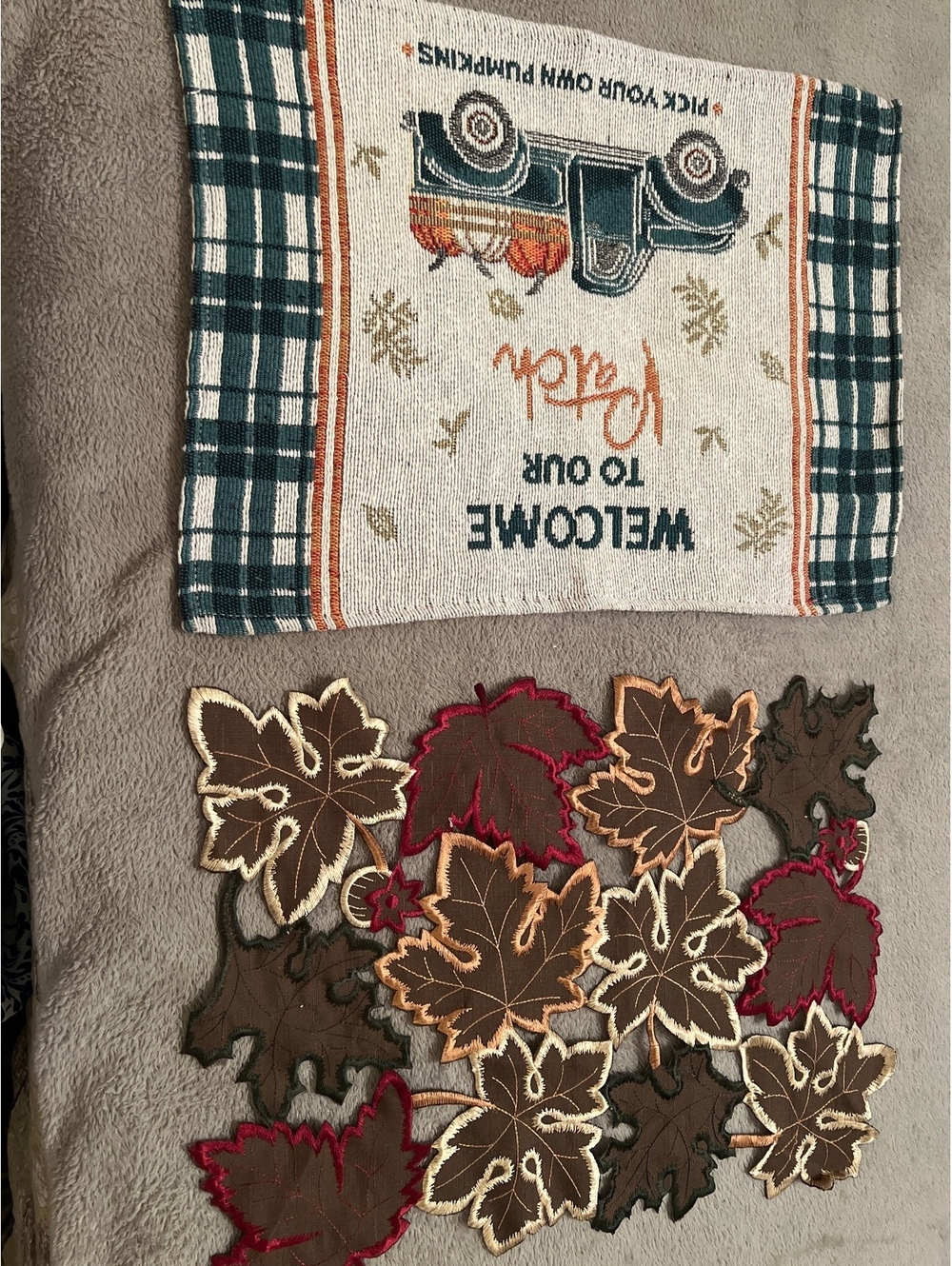 Set of Autumn Themed Decorative placemats and Leaf Appliqué's
